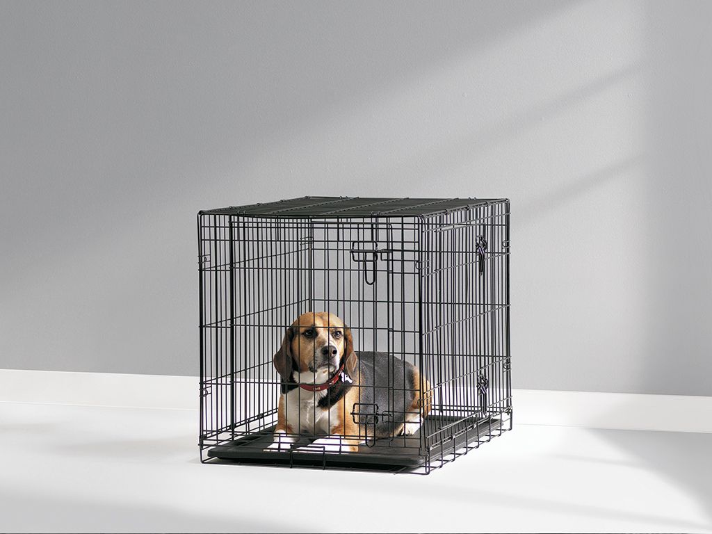Savic Dog Cottage metalinis šuns narvas, 91x57x62 cm -  2