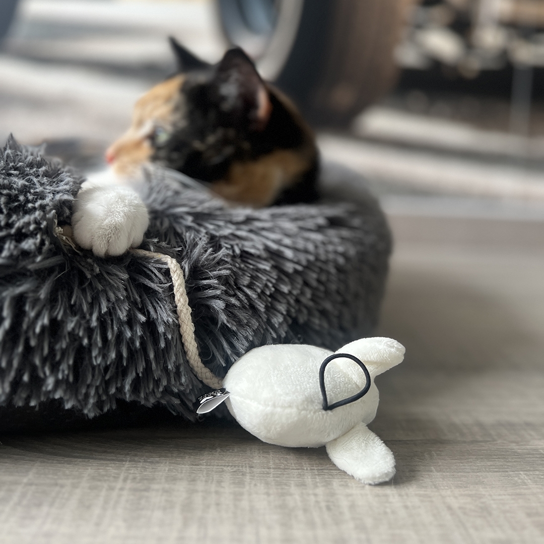 DD HOME-I LOVE HAPPY CATS žaislai katėms-pelytės, 2 vnt. 20 cm -  5