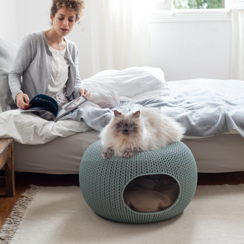 Beeztees Cozy Pet Home guolis, 55cm, melsvas