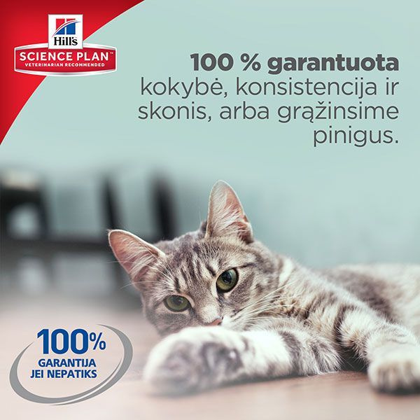 Hill's Science Plan Adult maistas katėms su ėriena, 300g -  2