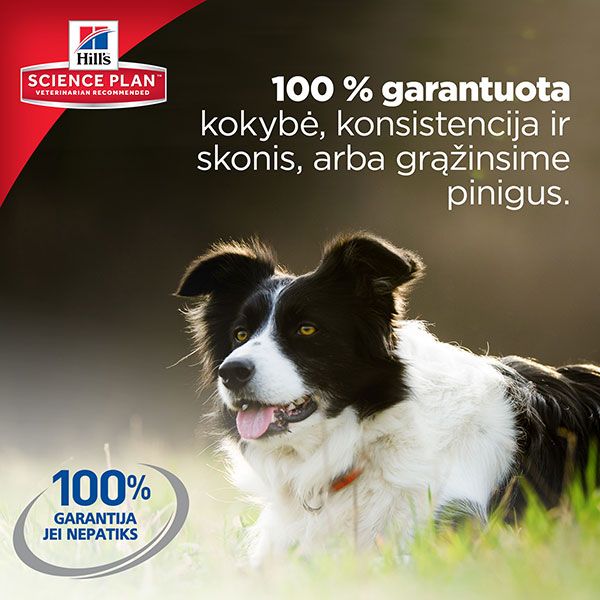 Hill´s Science Plan Adult Light Small&Mini maistas su višt. 1,5kg -  3
