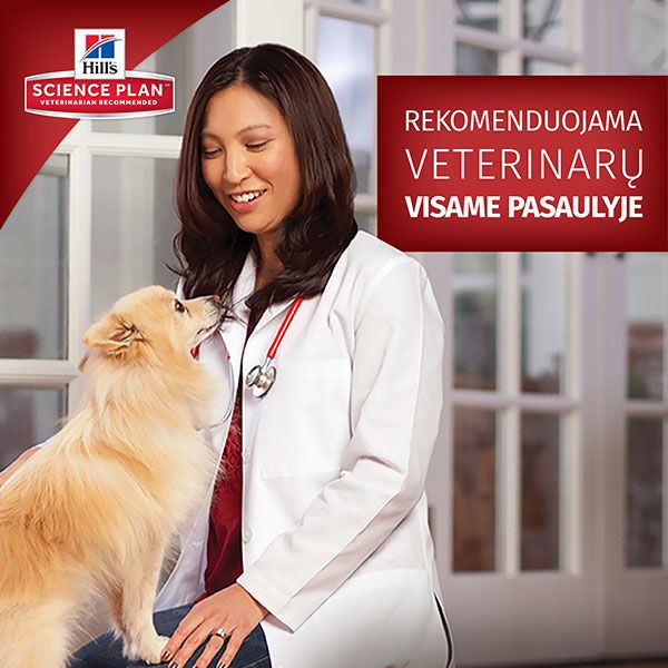 Hill's Science Plan Adult Medium maistas šunims su vištiena, 2,5 kg -  3
