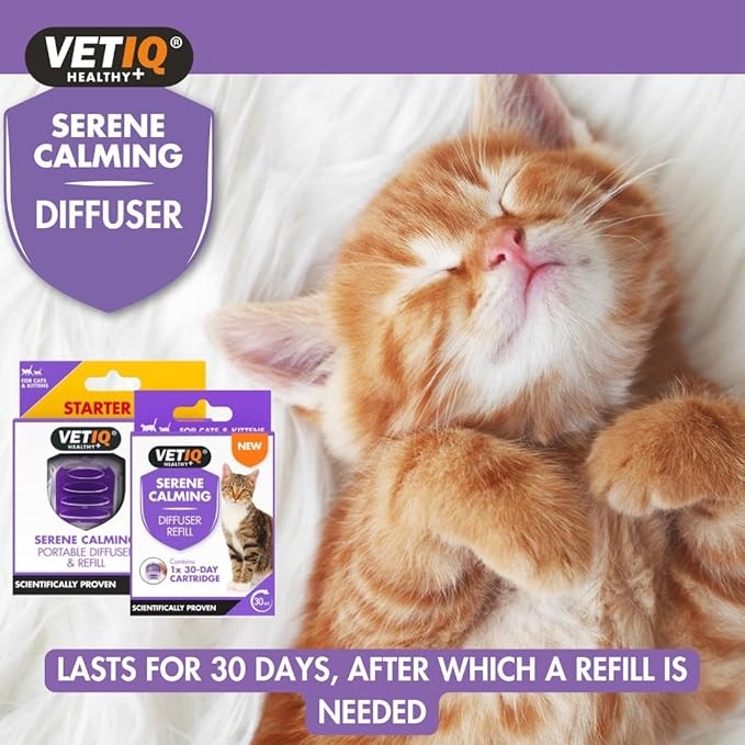 VETIQ raminamasis difuzoriaus užpildas, 6 ml -  5