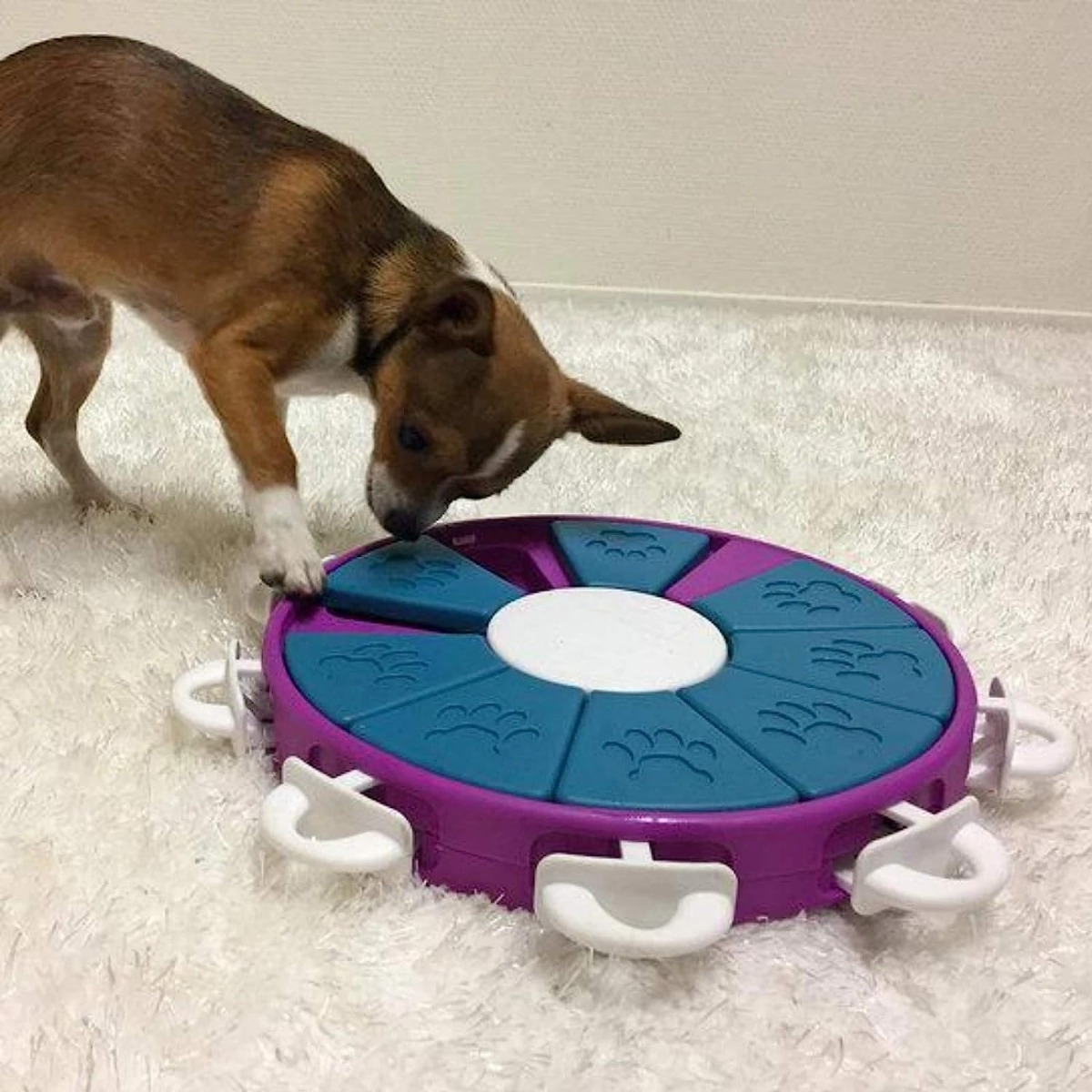 Nina Ottosson Twister išmanusis žaidimas šunims, 26 cm