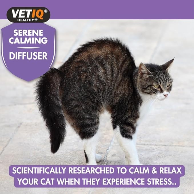 VETIQ raminamasis difuzoriaus užpildas, 6 ml -  4