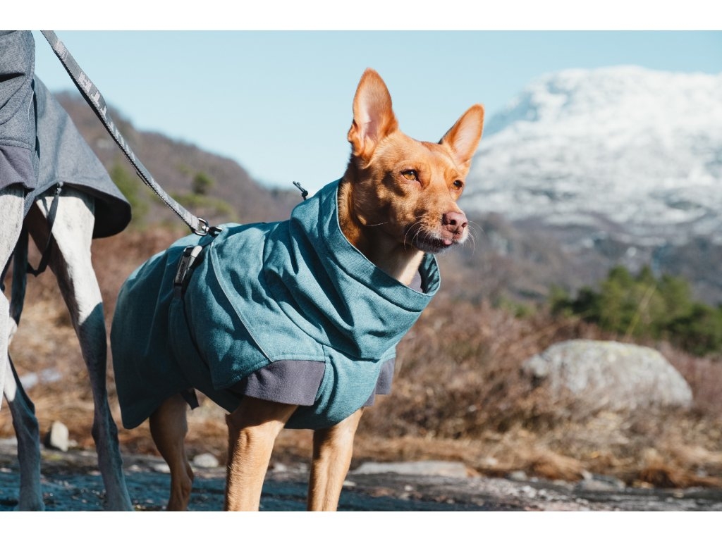 Hurtta Expedition Parka striukė, 30cm, mėlyna -  4