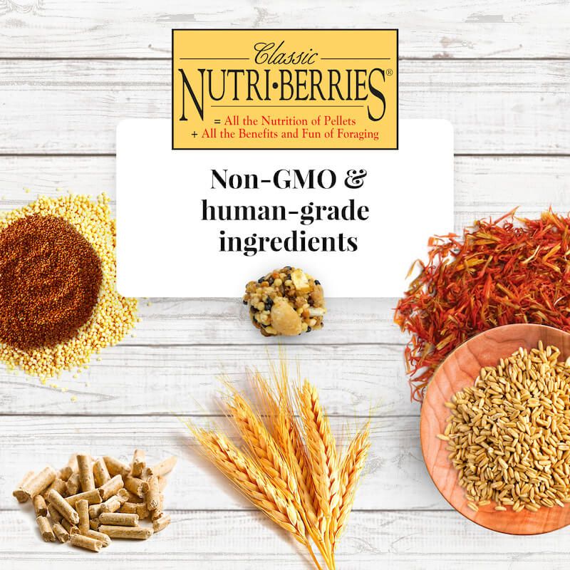 Nutri-Berries maistas mažiems ir vidutiniams paukščiams, 284 g -  4