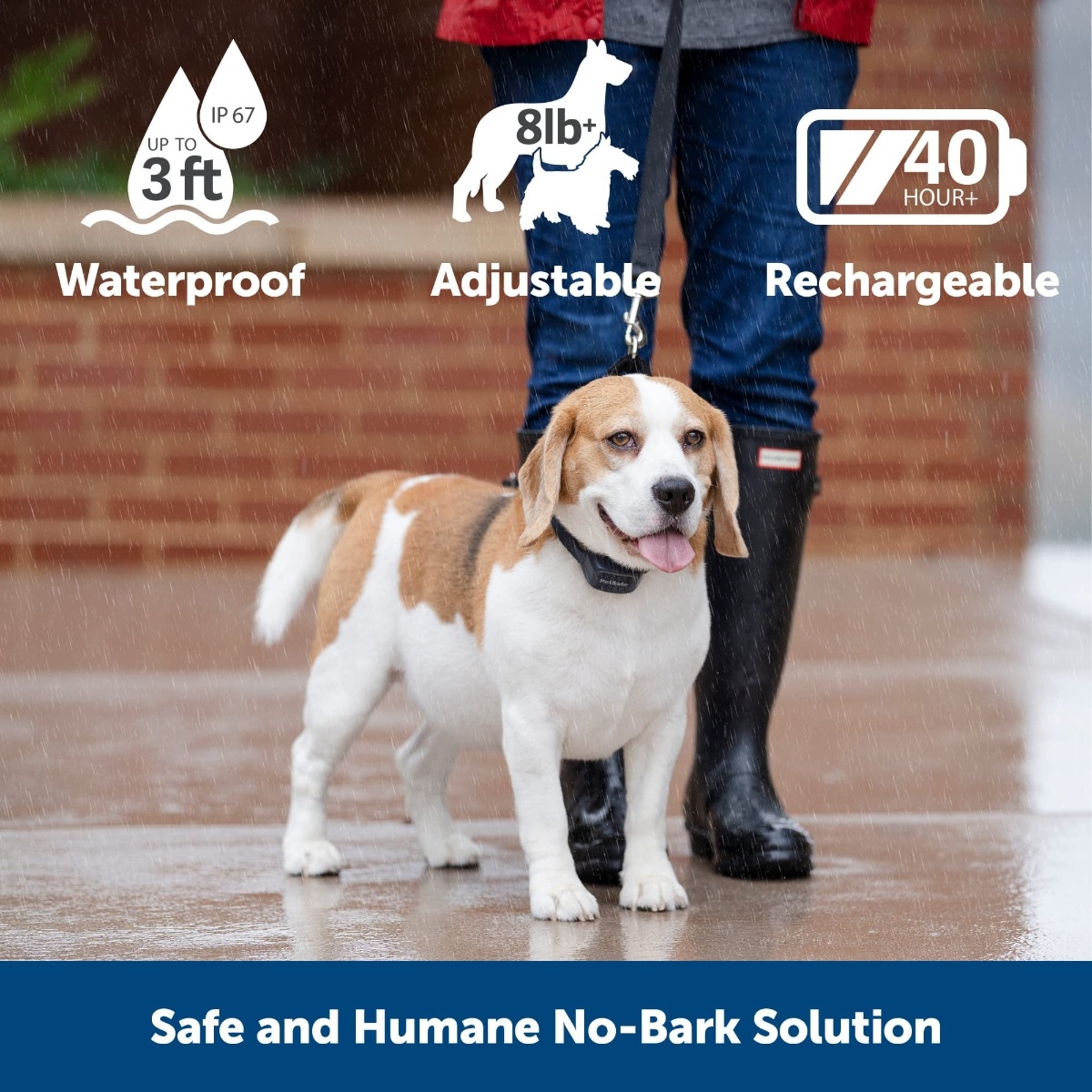 PetSafe Audible Bark garsinis antkaklis nuo lojimo -  4