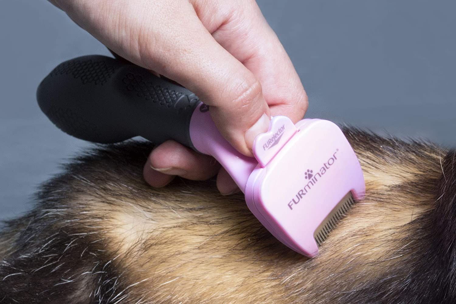 Furminator poplaukio šukavimo įrankis smulkiems gyvūnams -  3