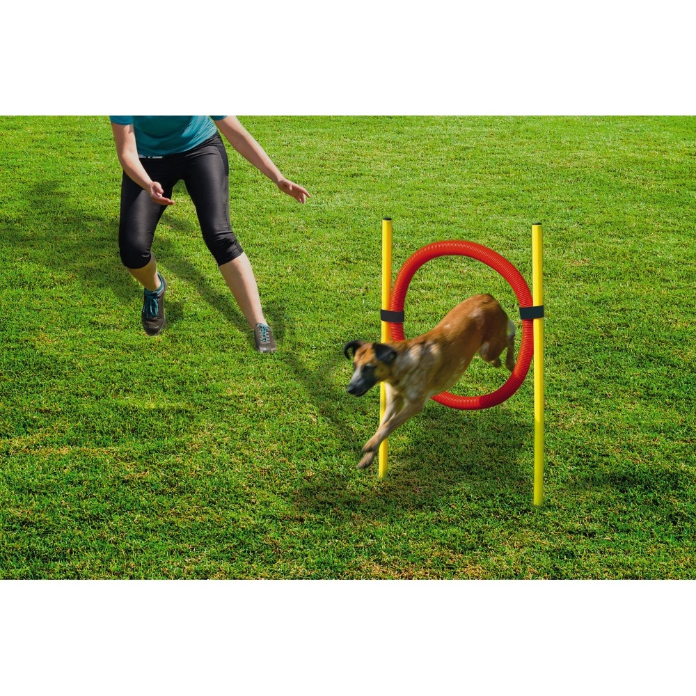 Beeztees Agility judrumo žiedas šunims, 60cm -  3