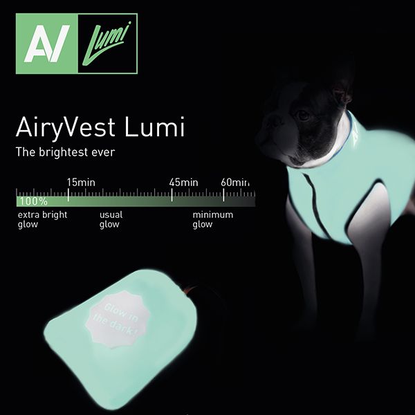 Collar Airyvest liemenė šunims, 25 cm,  žalias/mėlynas -  3