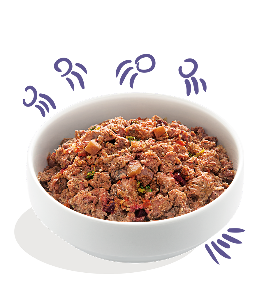 Edgard Cooper konservai šunims su jautiena, 400 g -  2