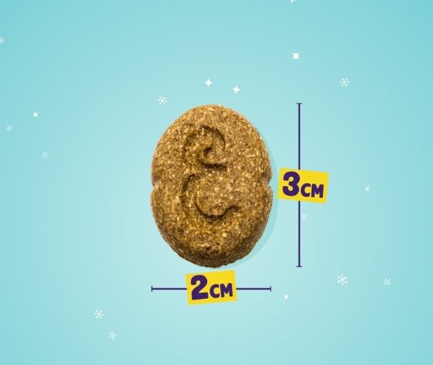 Edgard Cooper Festive sausainiai šunims su antiena ir kalakut., 400 g -  3