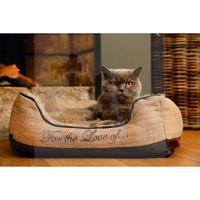 Beeztees Dallam guolis, 65x60x20cm -  4
