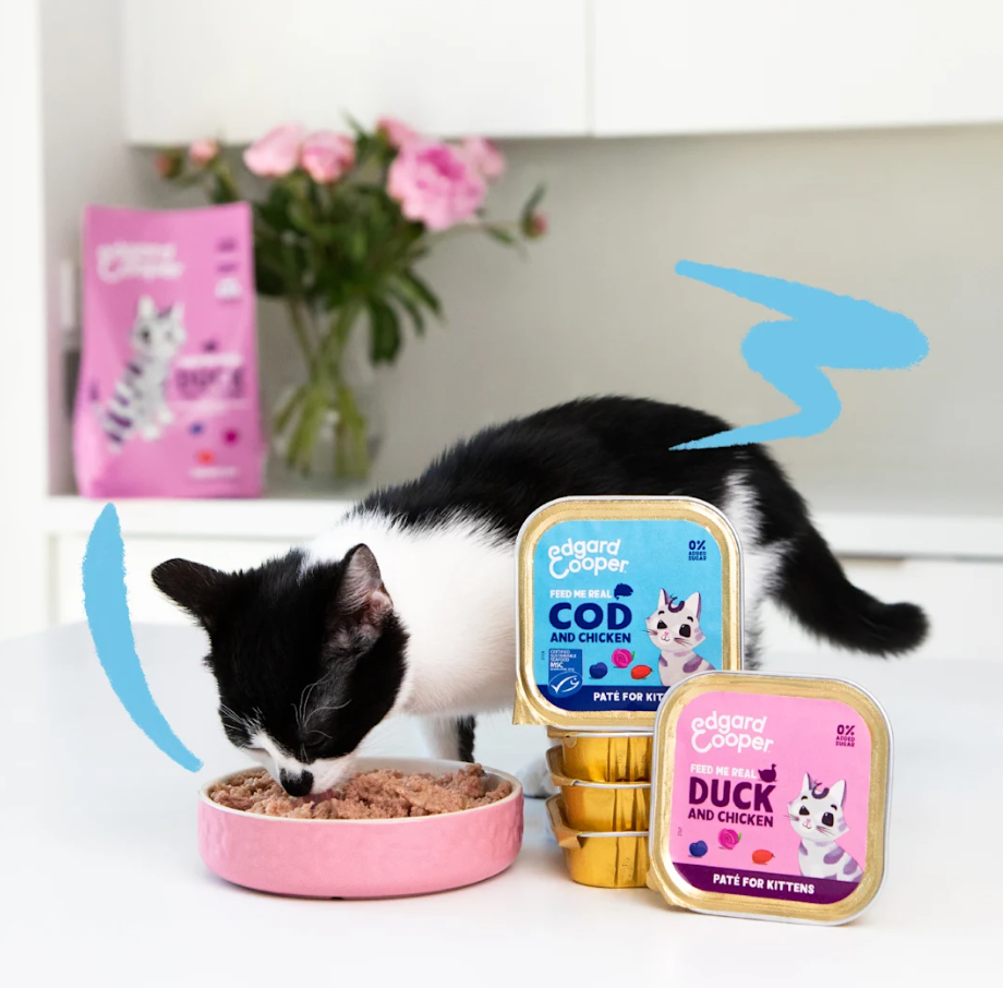 EDGARD COOPER KONSERVUOTAS MAISTAS VYRESNIO AMŽIAUS ŠUNIMS, 150 G -  3