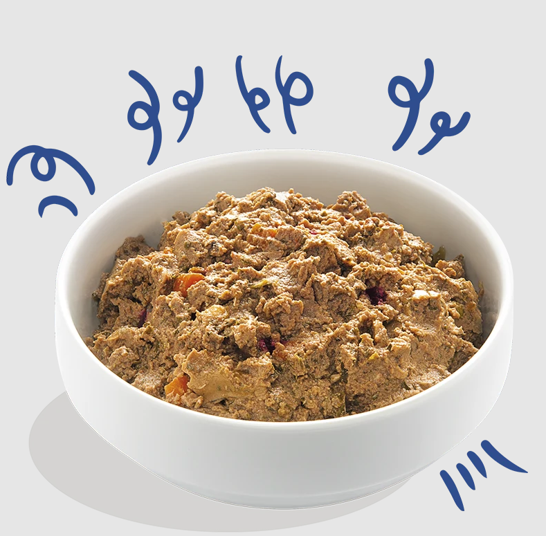 Edgard Cooper konservai šunims, su kalakutiena ir lašiša, 150g -  2
