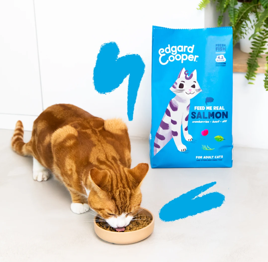 Edgard Cooper sausas maistas katėms, su lašiša, 2kg -  2