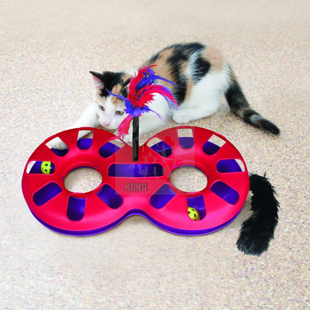 Kong Cat Eight Track žaidimo takas katėms su katžole -  2