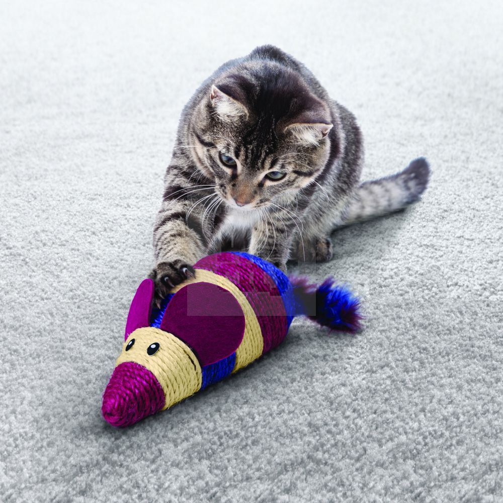 *Kong Wranggler Scrach Mouse žaislas-draskyklė katėms, įv. spalvų