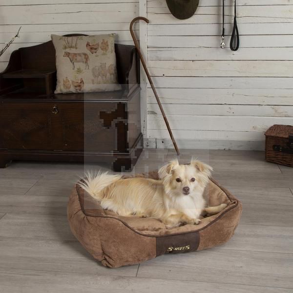 Scruffs Chester guolis, 60x50 cm, rudas