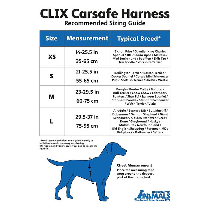 Coa Clix Car Safe saugos petnešos, 60–75cm