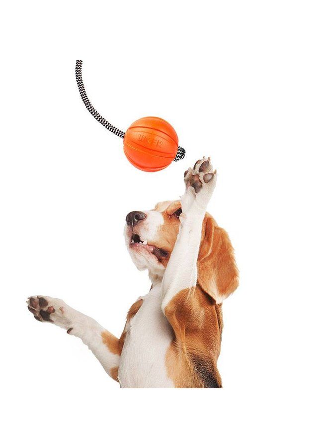 Collar Likers Cord žaislas šunims, 5 cm, oranžinis