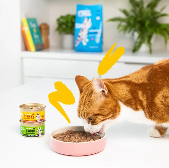 Edgard & Cooper konservuotas maistas katėms su ėriena ir vištiena, 85g -  3
