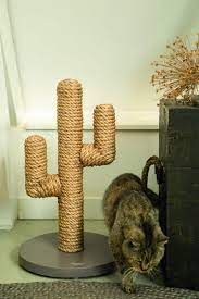 Beeztees DBL kaktuso formos draskyklė, 60 cm