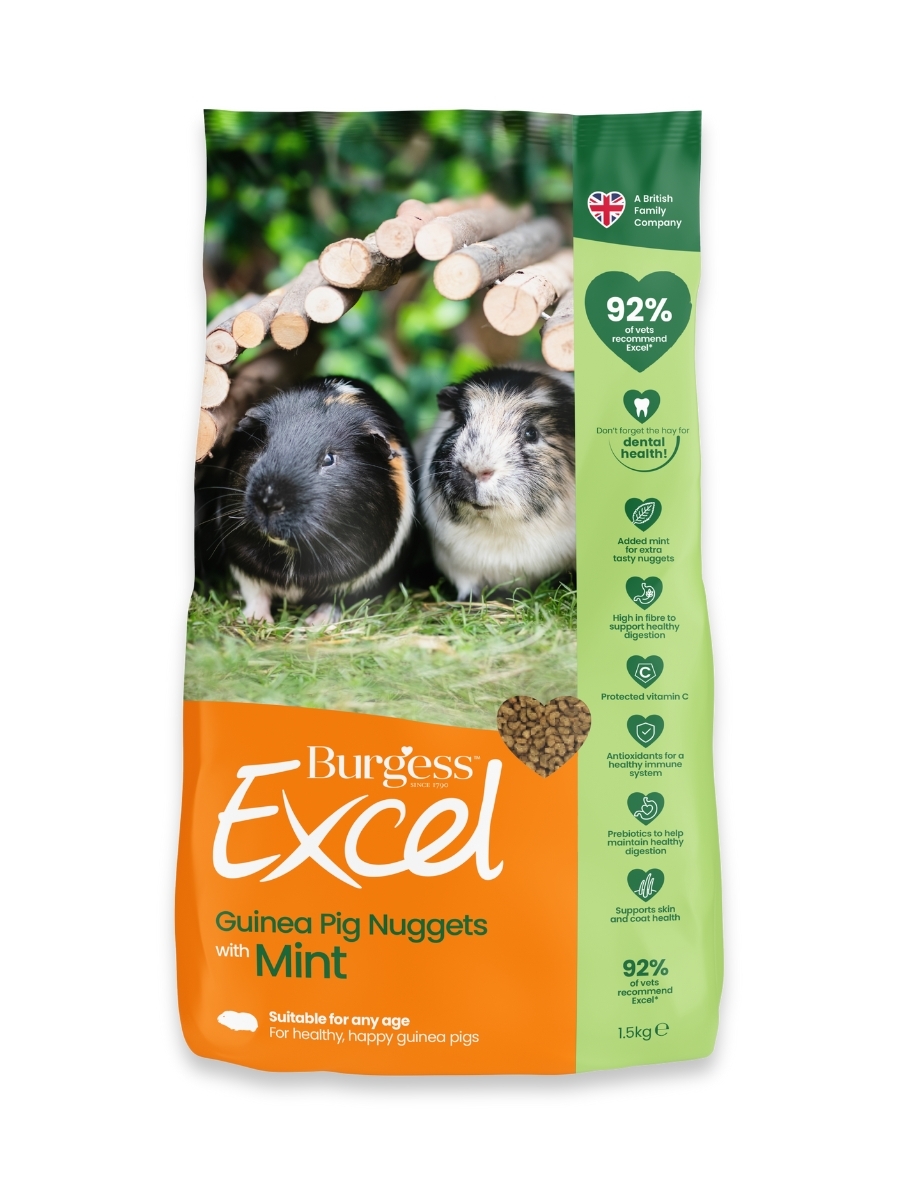 Burgess Excel maistas suaugusioms jūrų kiaulytėms su mėtomis, 2 kg -  2