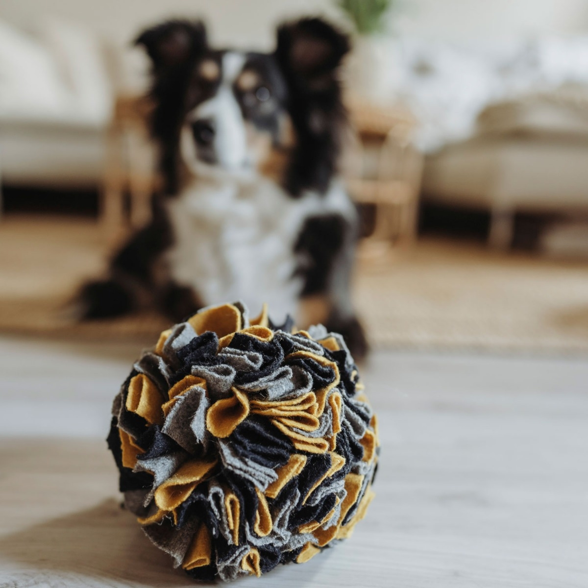 Hunter Dog Snuffle Ball Eiby uostymo kamuoliukas, margas -  2