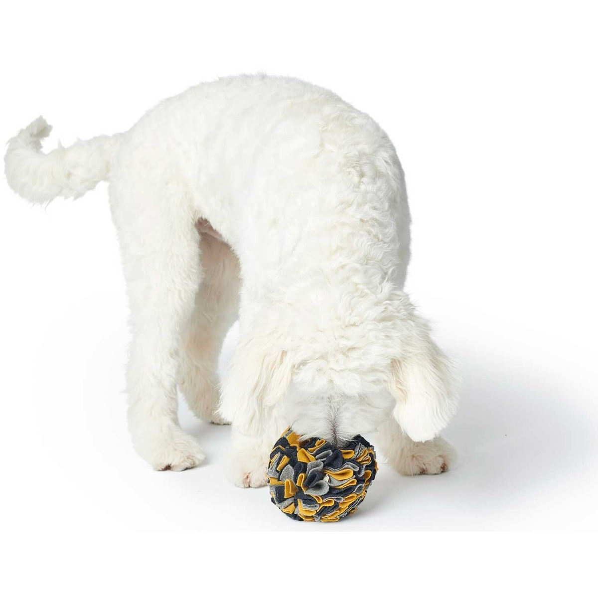 Hunter Dog Snuffle Ball Eiby uostymo kamuoliukas, margas -  3