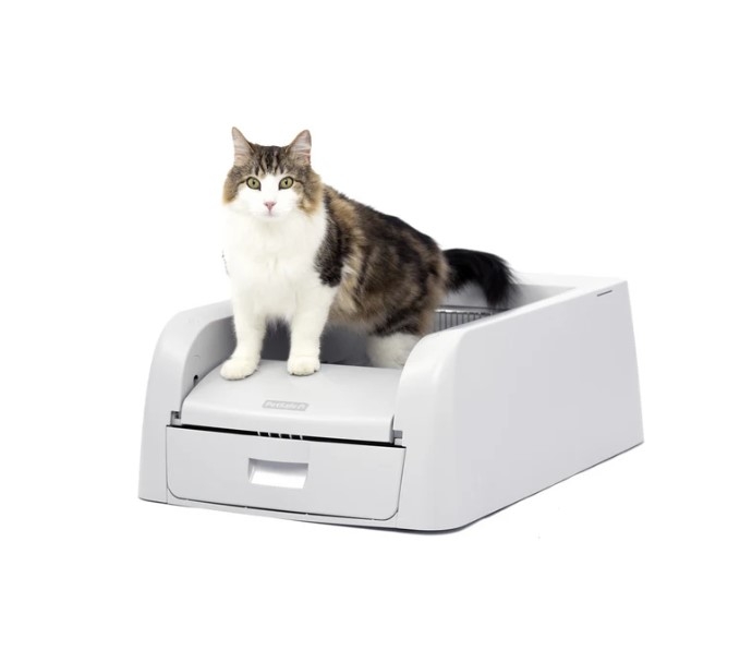 PetSafe Scoopfree savaime išsivalantis kačių tualetas, 53x27x73 cm -  2