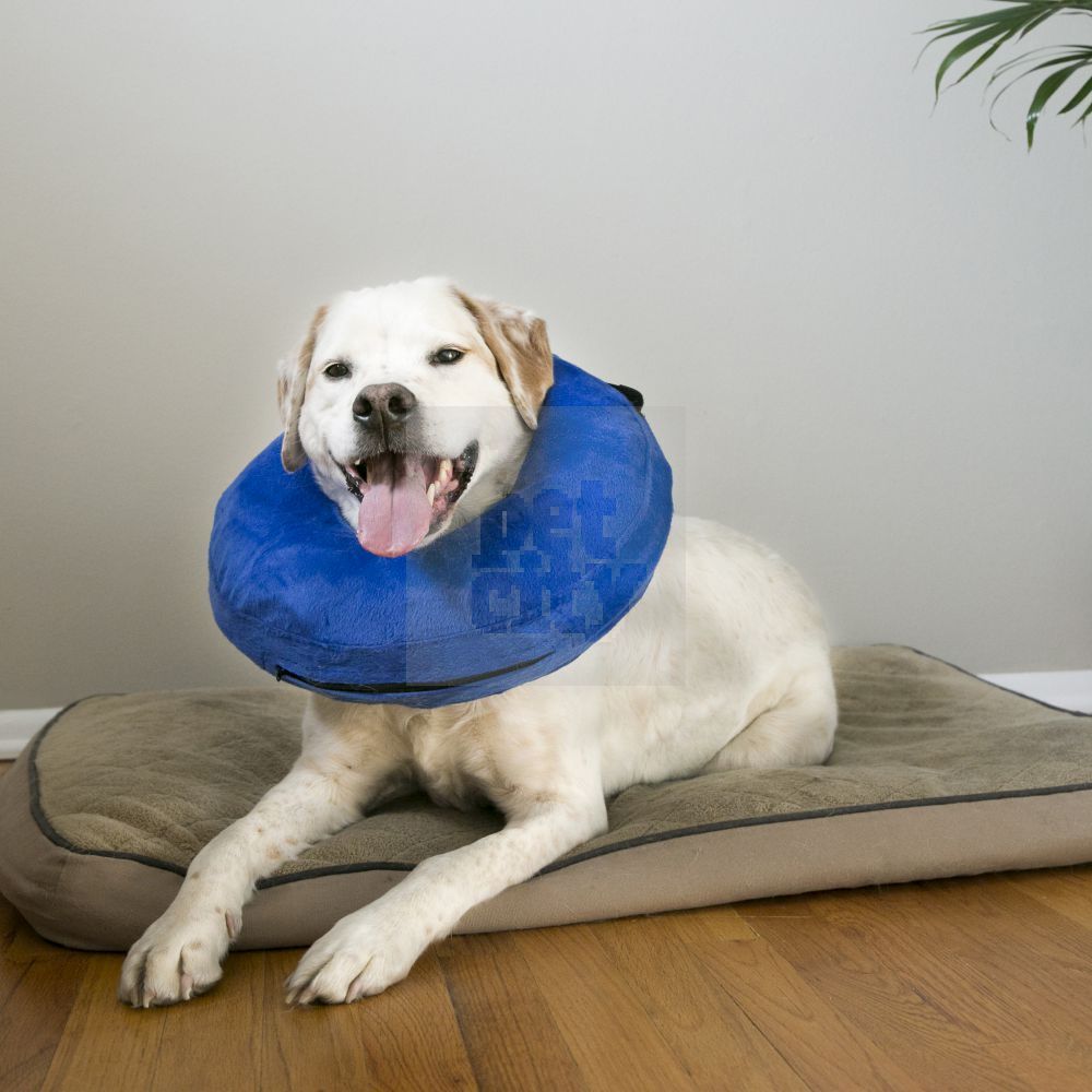 KVP Cloud E-Collar apsauginis antkaklis, M dydis -  3
