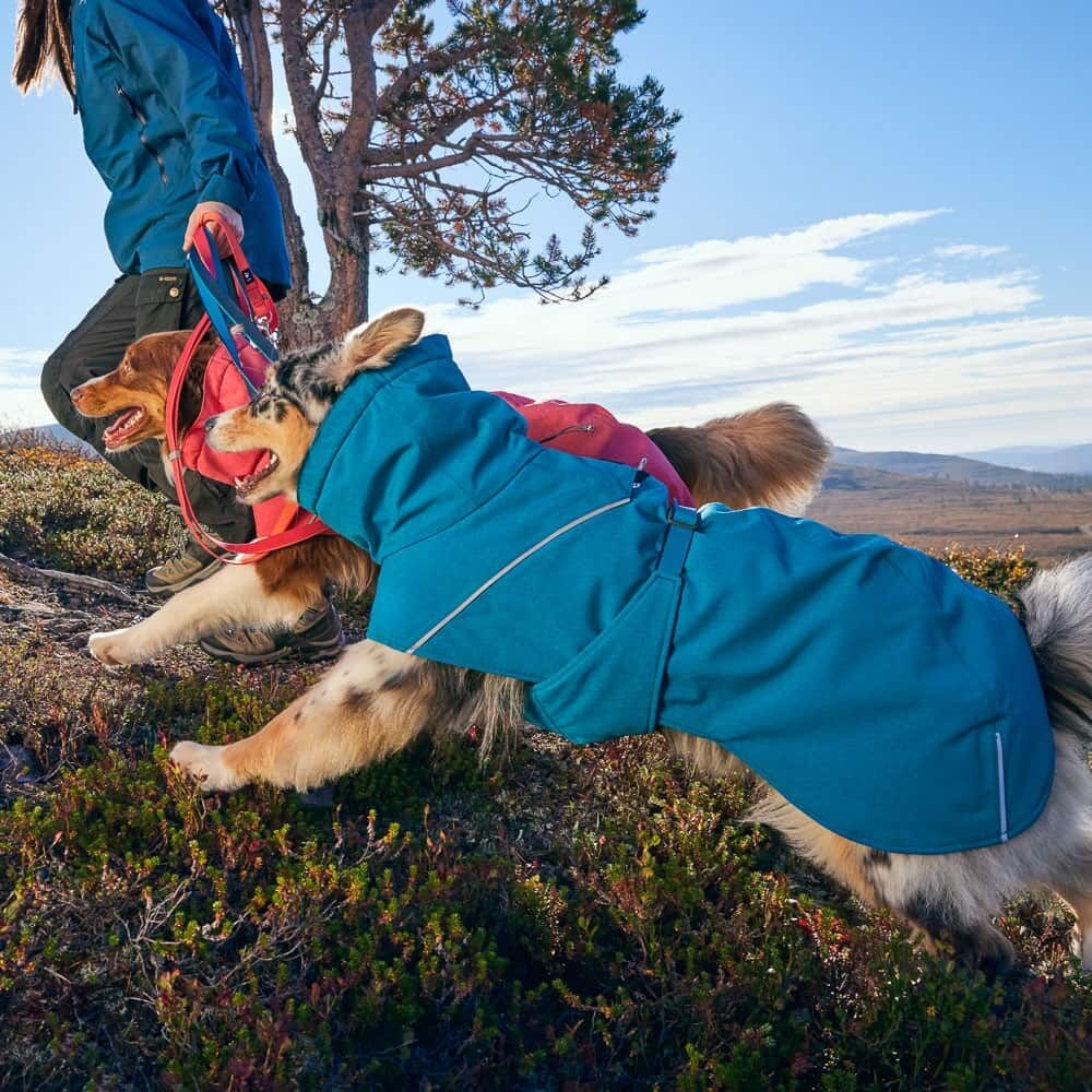 Hurtta Expedition Parka II striukė, M-35cm, rožinė -  6