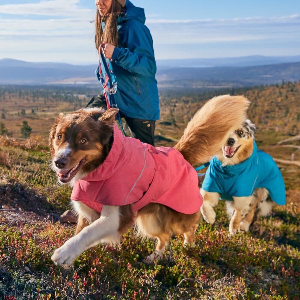 Hurtta Expedition Parka II striukė, M-65cm, pilka -  6