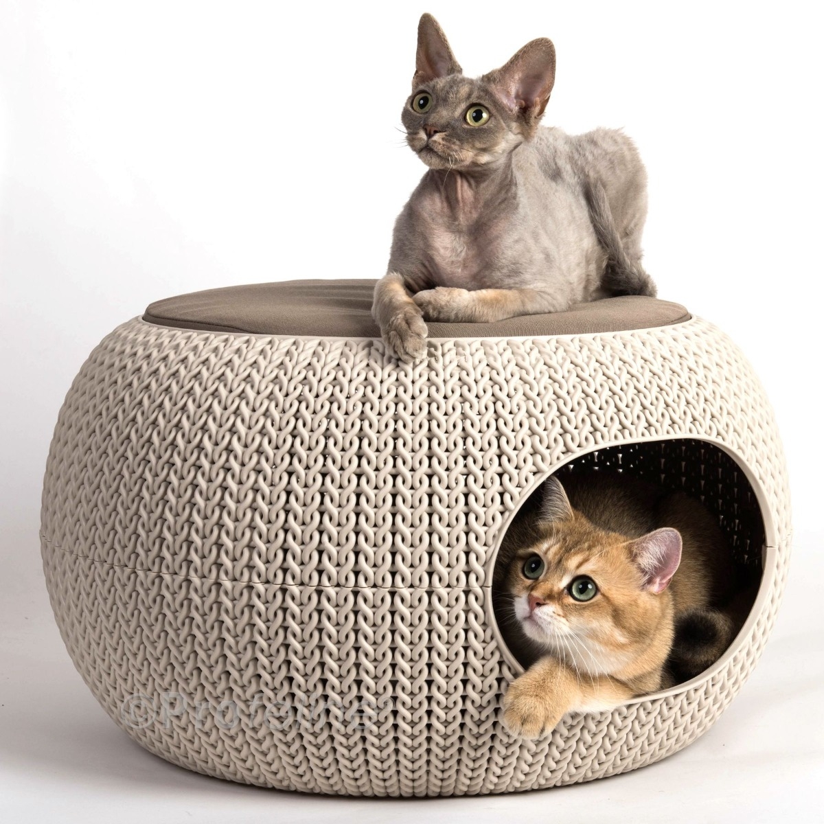 Beeztees Cozy Pet Home guolis, 55cm, kreminis