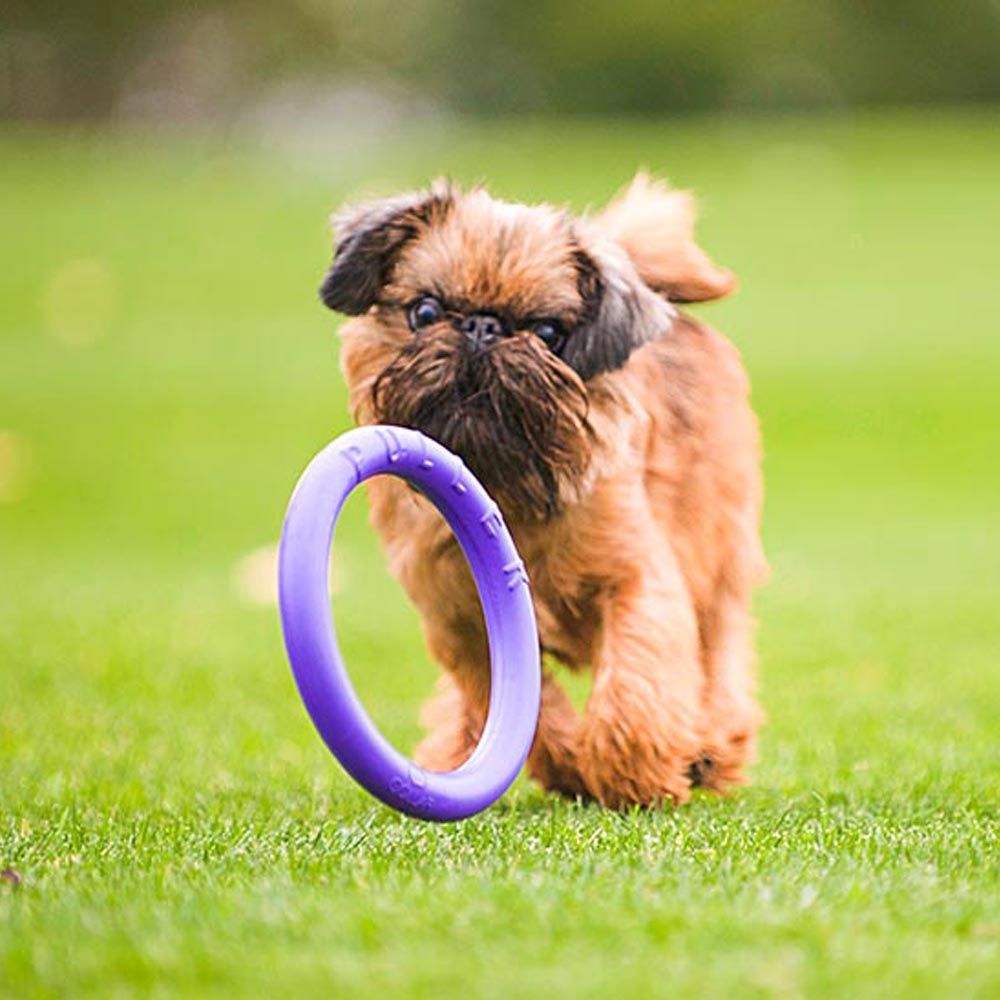 Collar Puller Mini žaislas šunims, 18 cm, violetinis