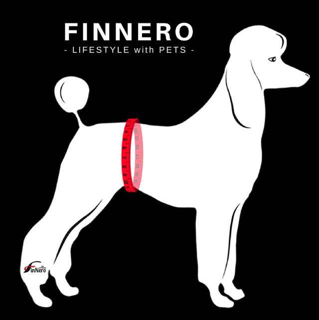 Finnero Ballerina daugkartinės kelnaitės patelėms, XS, smėlio spalvos -  5