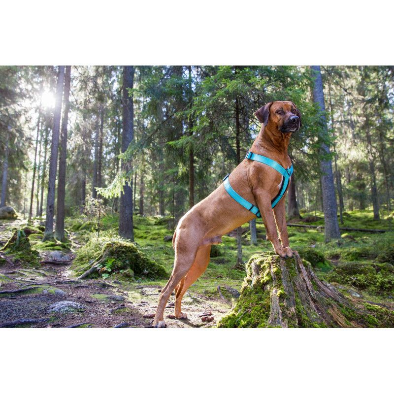 Rukka Form Polar petnešos, 45-70cm, žydros -  5