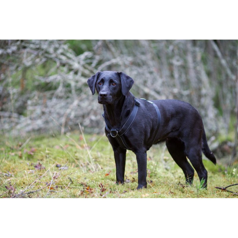 Rukka Form Polar petnešos, 80-130 cm, juodos -  4