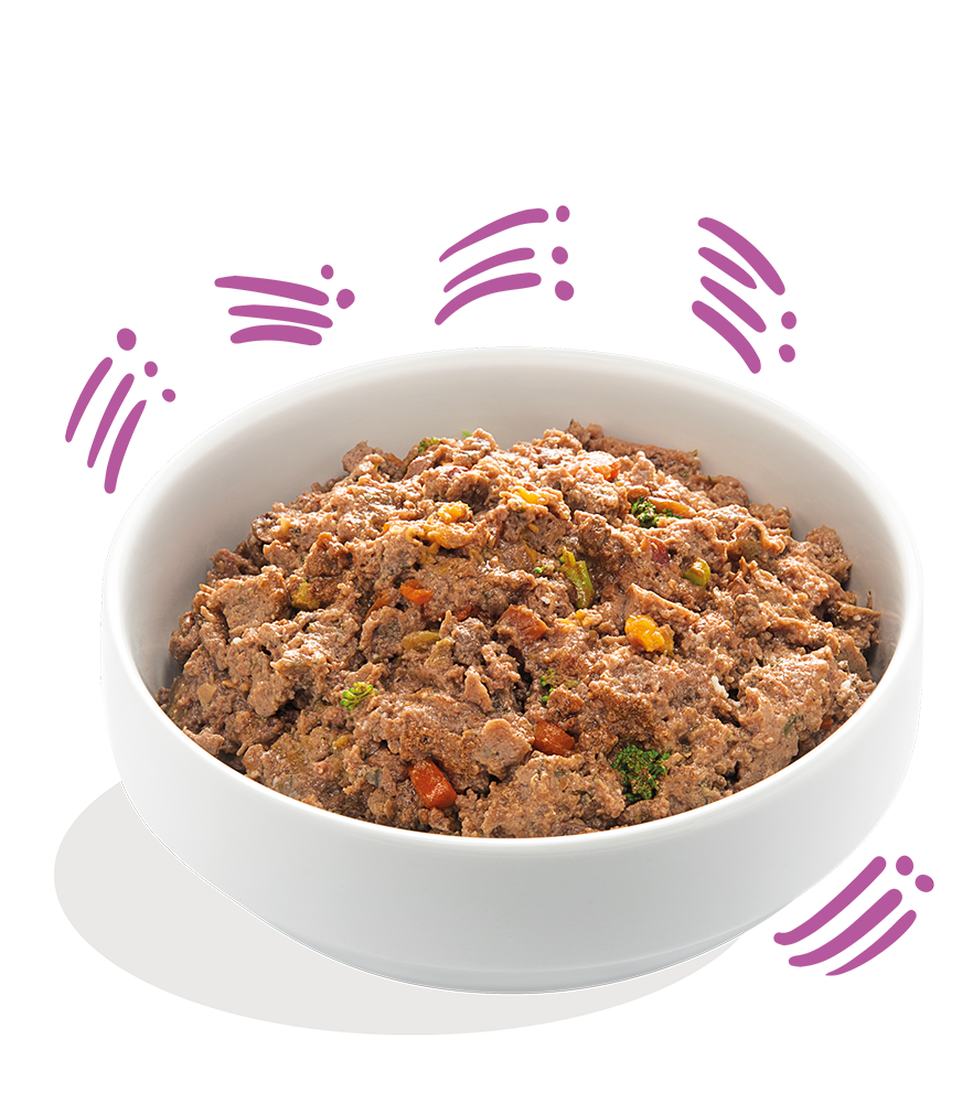 Edgard Cooper konservai šunims su žvėriena, 150g