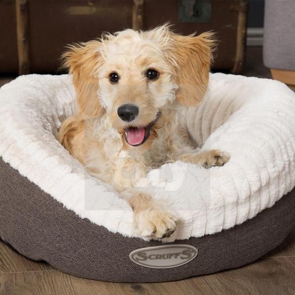 Scruffs Ellen Donut šuns guolis, 75 cm, rudas -  2