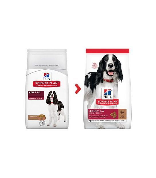 Hill's Science Plan Adult Medium maistas šunims su ėriena, 800g -  2