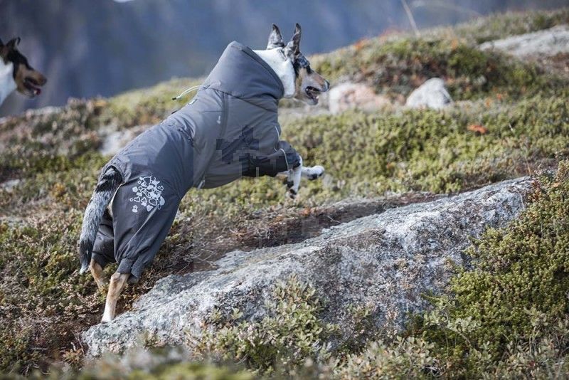 Hurtta Extreme Overall kombinezonas, 35-M cm, pilkas