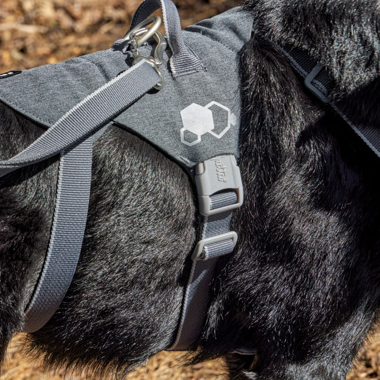 Hurtta Safeguard Eco petnešos šunims, 75-95 cm, juodos -  2