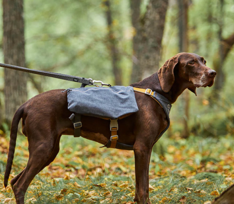 Hurtta Expedition Pack Eco petnešos, 60-80cm -  2