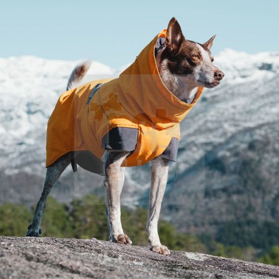 Hurtta Expedition Parka striukė, 30XLcm, oranžinė -  3