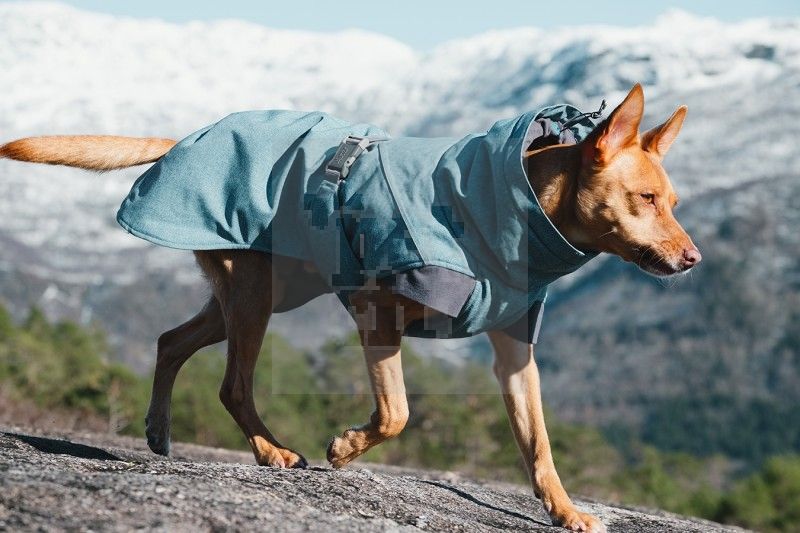 Hurtta Expedition Parka striukė, 25cm, mėlyna -  5