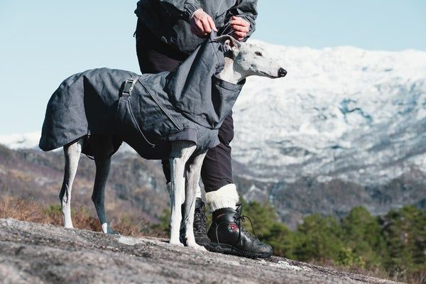 Hurtta Expedition Parka striukė, 60 cm, juoda -  3