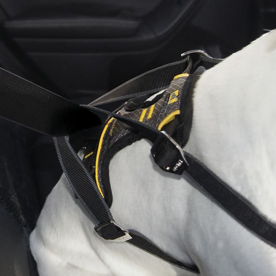 Kurgo Impact automobilio saugos petnešos šunims, 11-23kg -  3